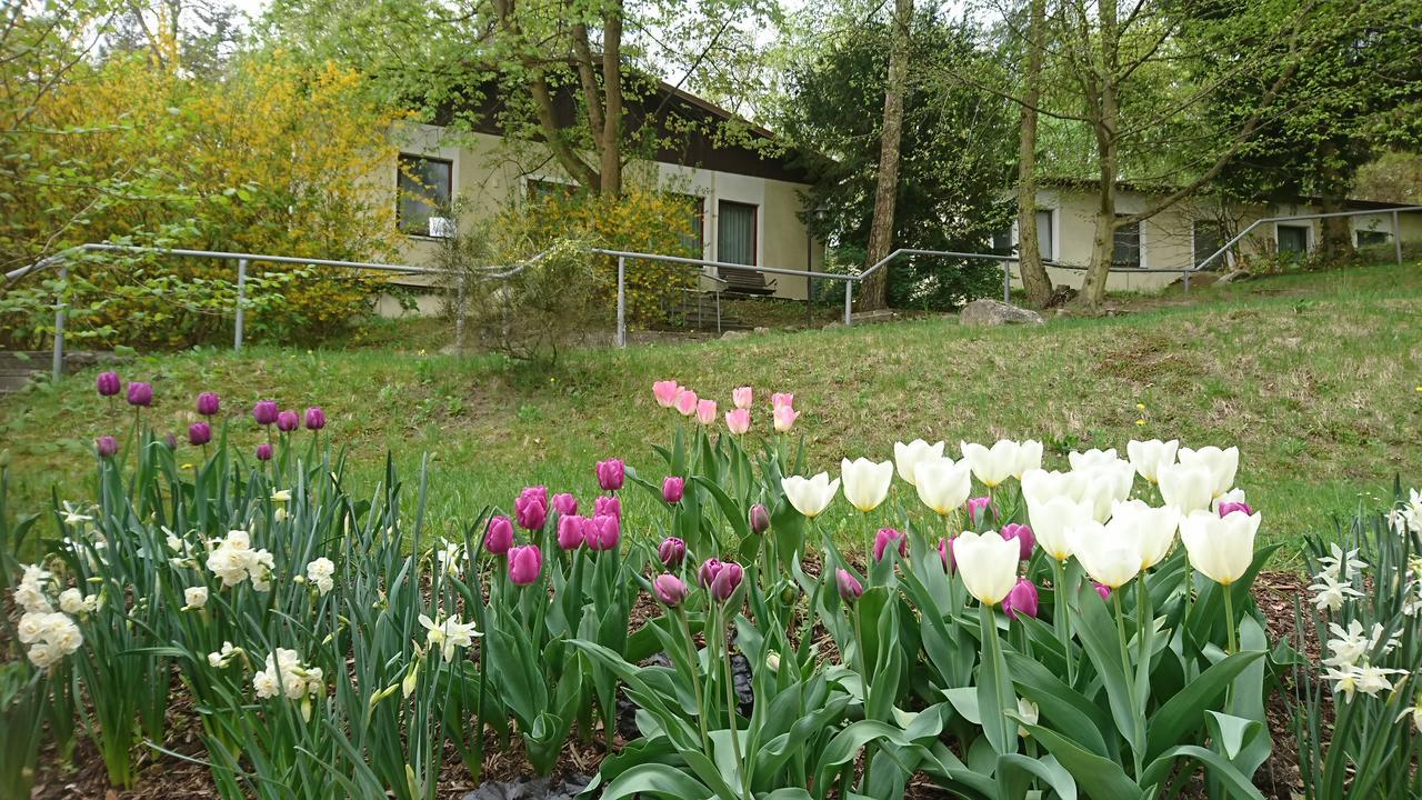 Gaestehaus Chorin Dış mekan fotoğraf